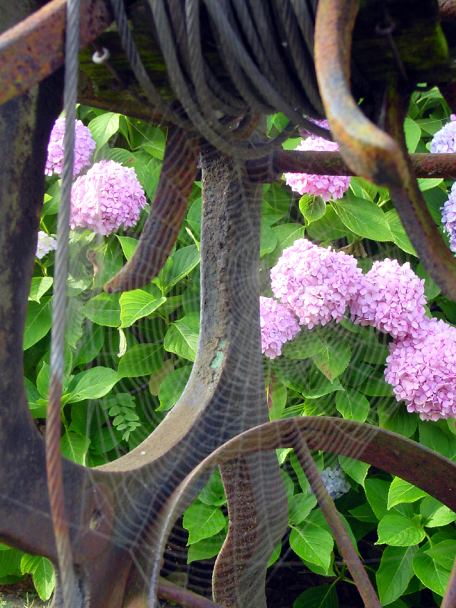 dsc00003.JPG