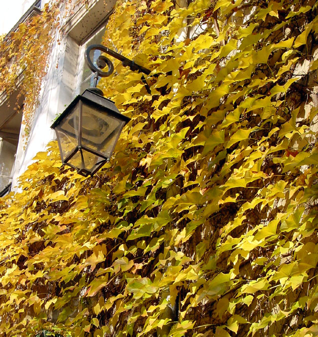dsc00011.JPG