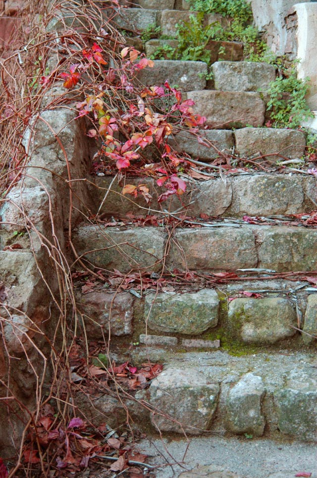dsc_0044-copy.jpg