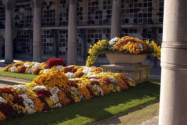 dsc_0019.JPG