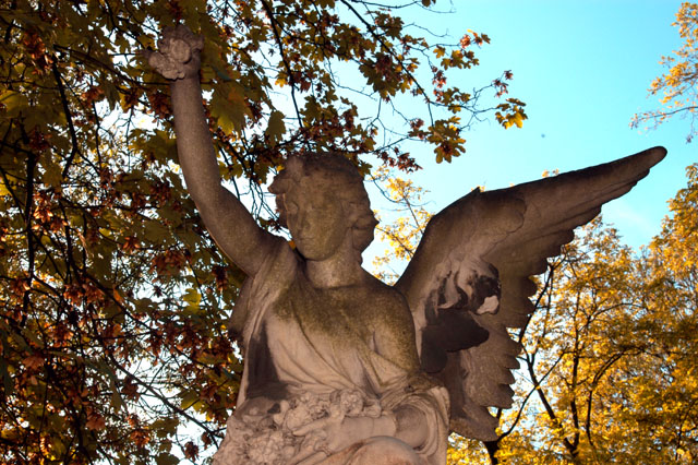 dsc_0070.JPG