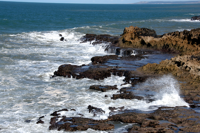 dsc_0283.JPG