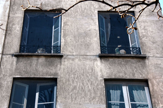 firstarrond-25.JPG