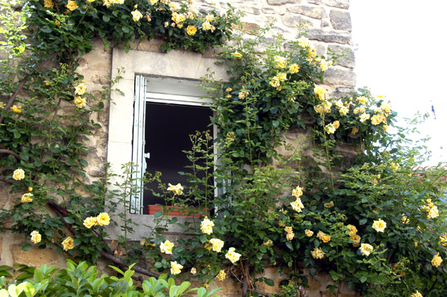 saignon-43.JPG