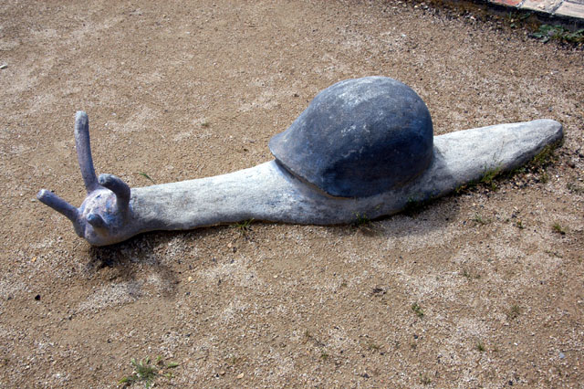 snailswindows-37.JPG
