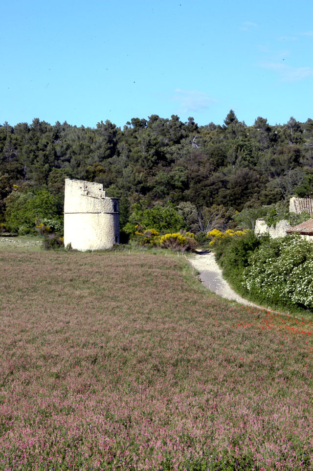 aix-61.JPG