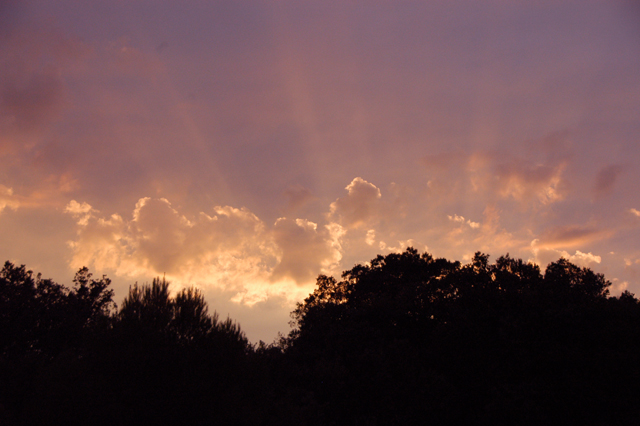 sunset.jpg
