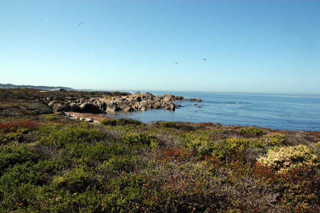 dsc_0035-copy.jpg