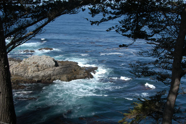 dsc_0110-copy.jpg