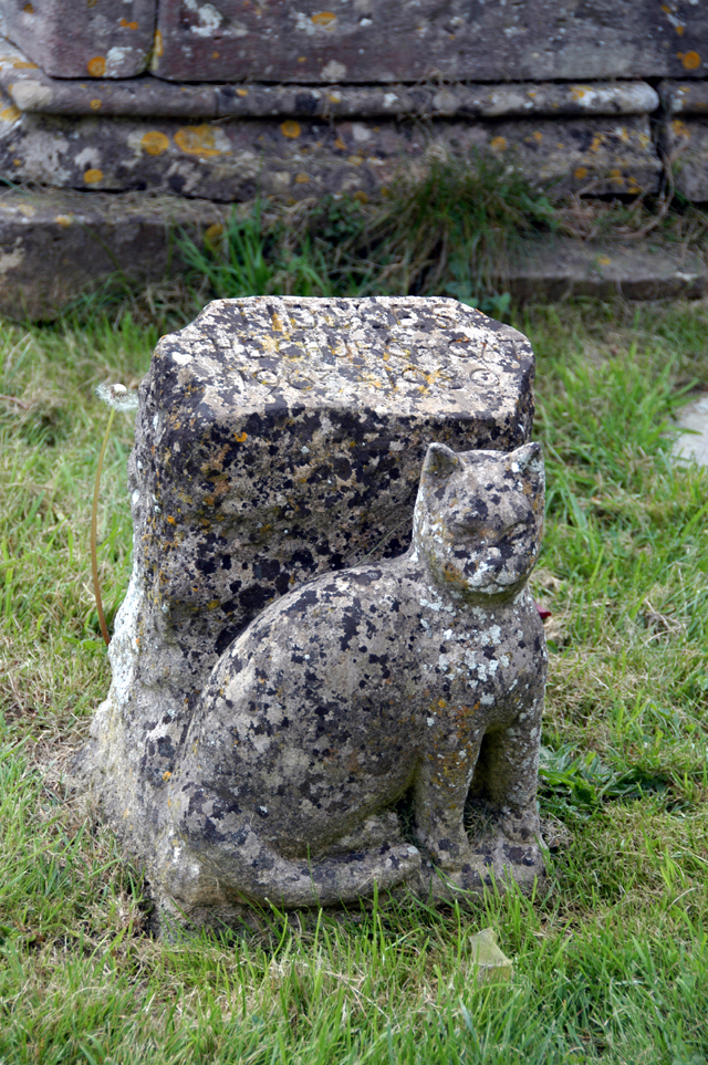 dsc_0176.JPG