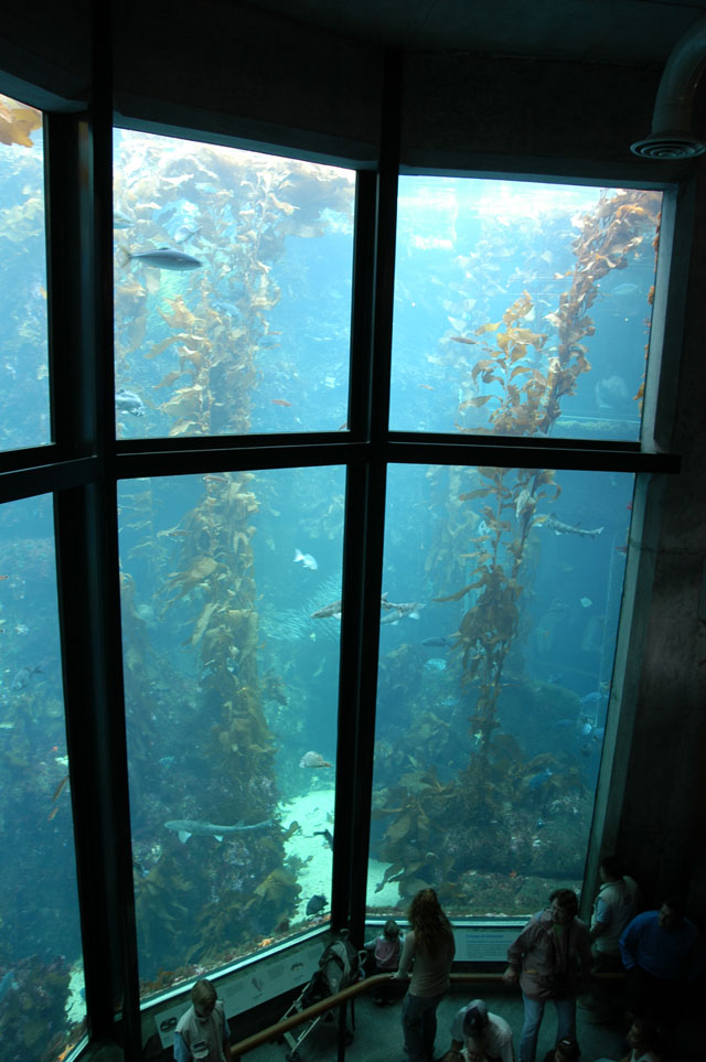 dsc_0195-copy.jpg