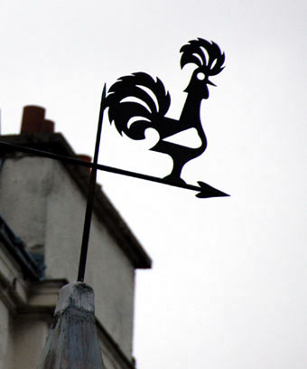 neighborhood-4.JPG