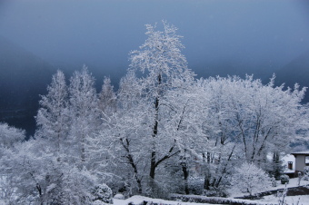 dsc_0090.JPG
