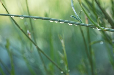afterrain-3.JPG