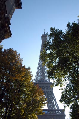 autumn-10.JPG